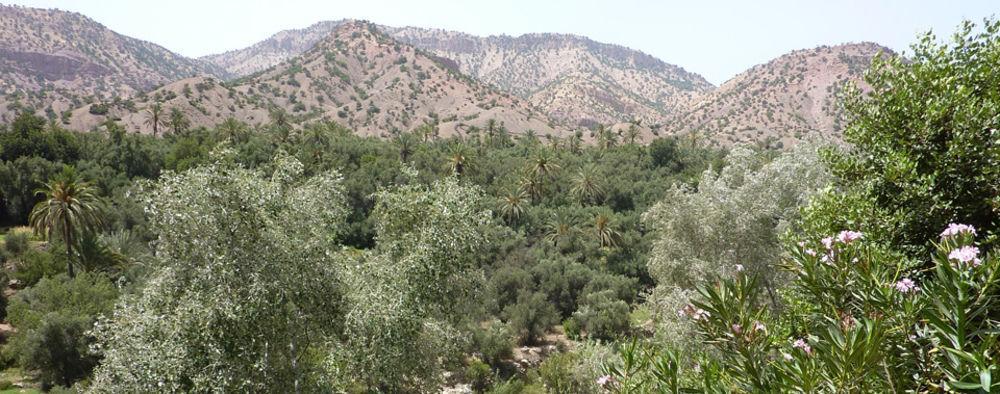 Palais Villa Talaa Resort Taroudant Exterior photo